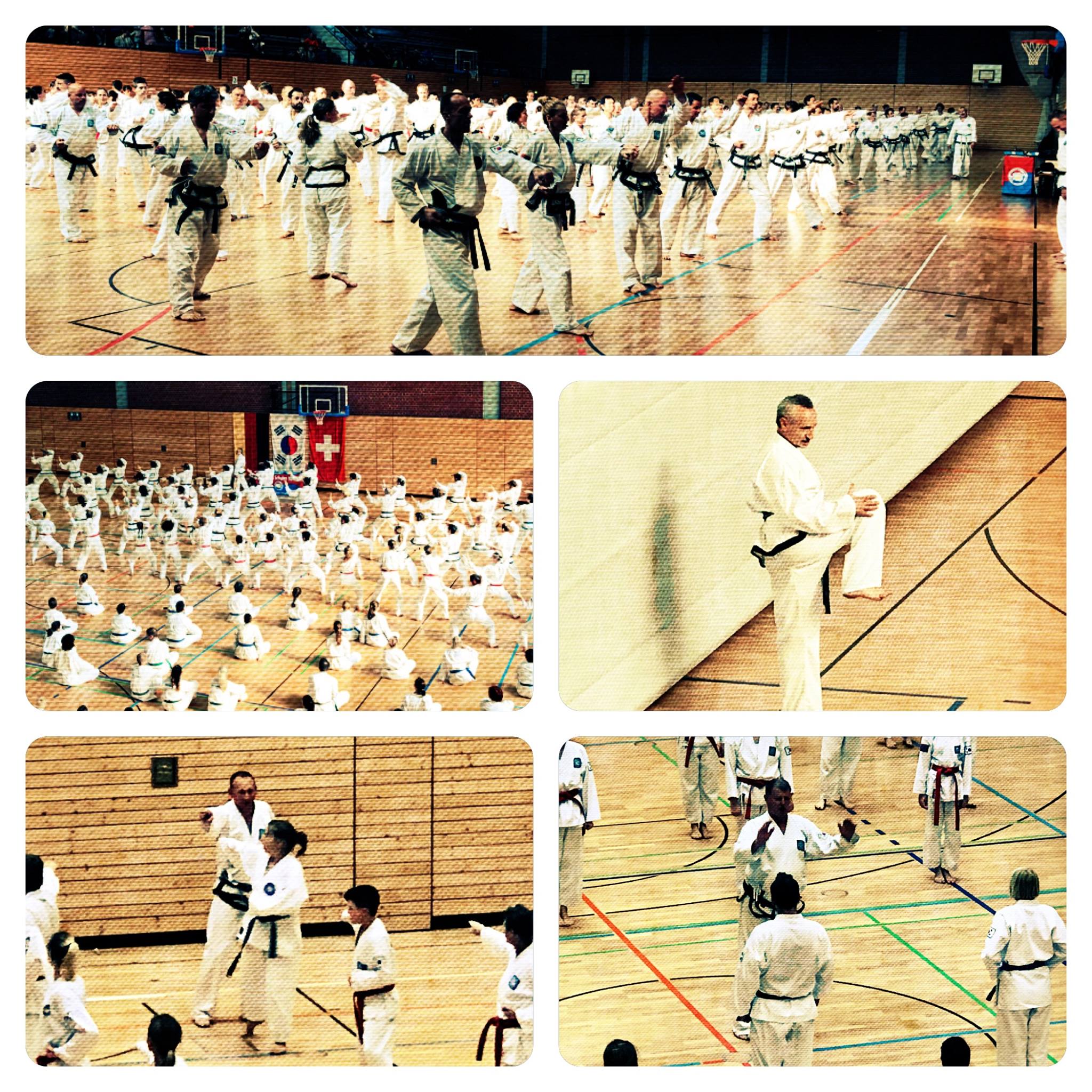 collage badReichenhall Taekwondo ingolstadt